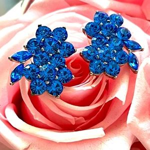 Blue Crystals Earrings